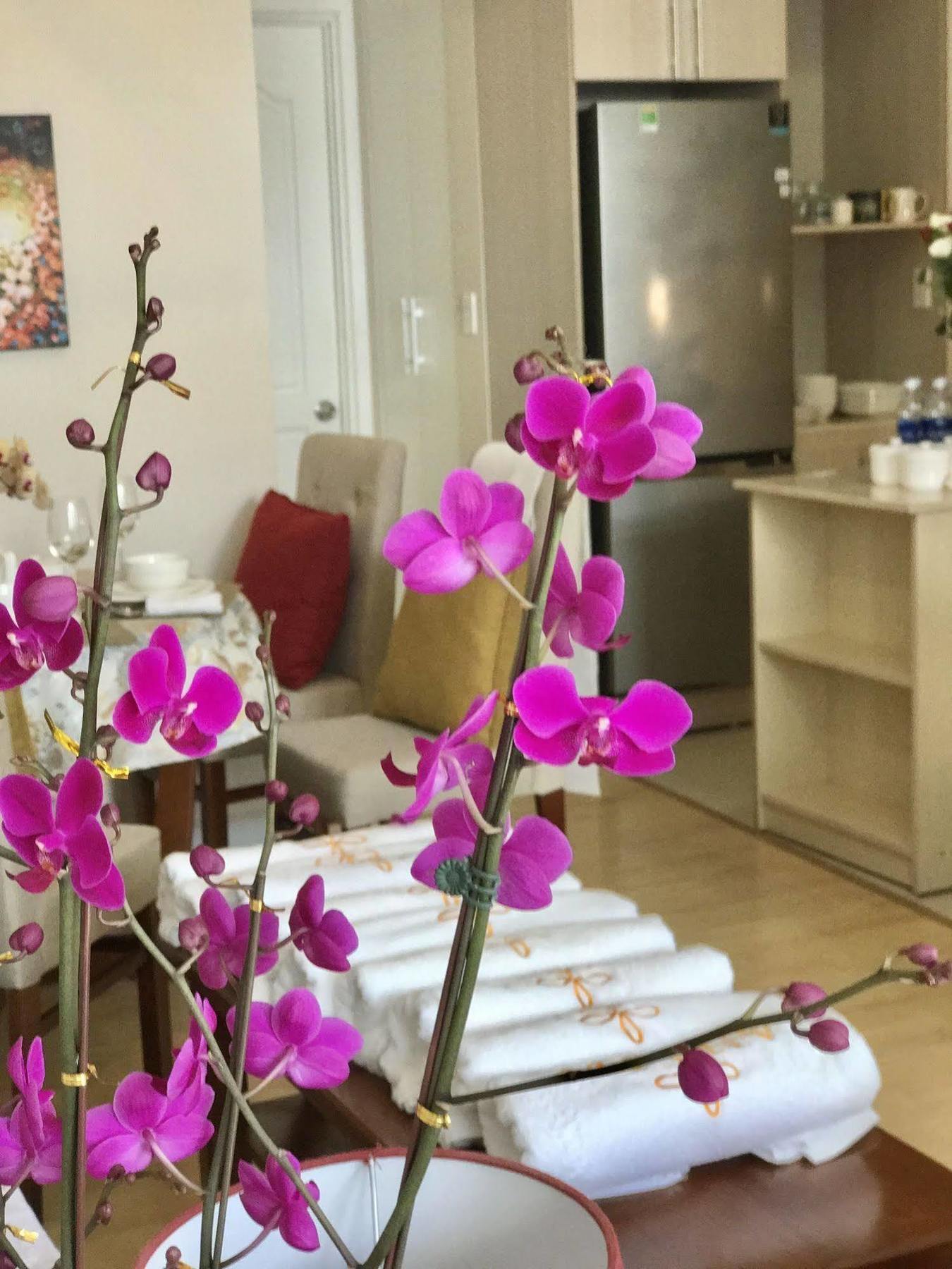 Anada Hotel Suites Да Лат Екстериор снимка
